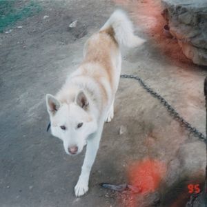 Meet your Posher, Catherene